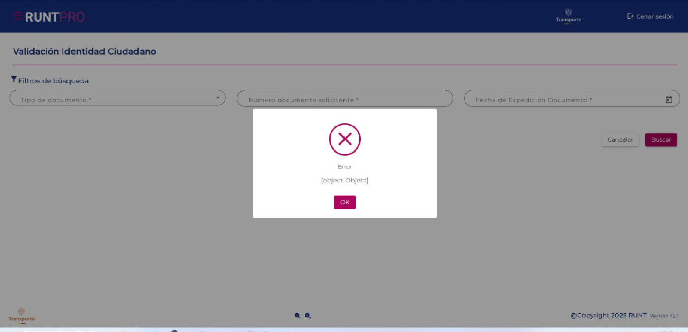 Imagen que muestra un error de validación en el sistema