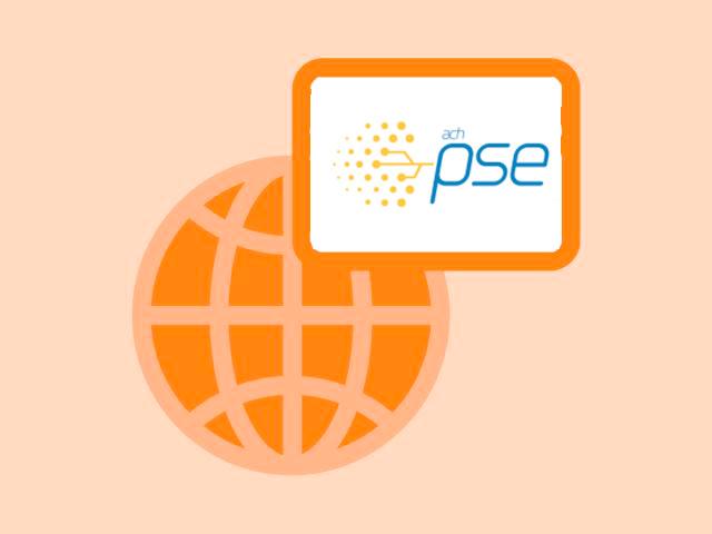 Icono del mundo con el Logo de PSE